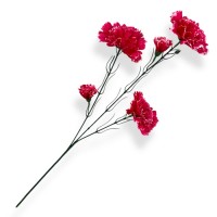 Гілка гвоздики висока 3-ка, 65см